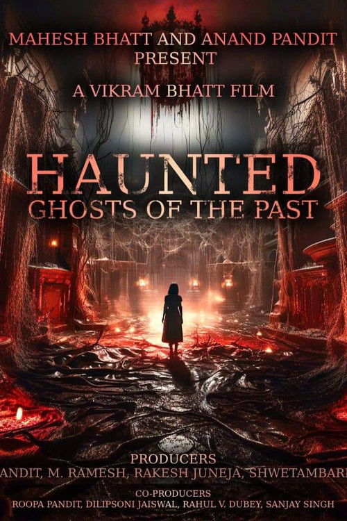 Haunted 3d Echoes Of The Past poster